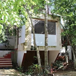 https://casa-del-arbol-at-villa-duendes.allrivieramayahotels.com